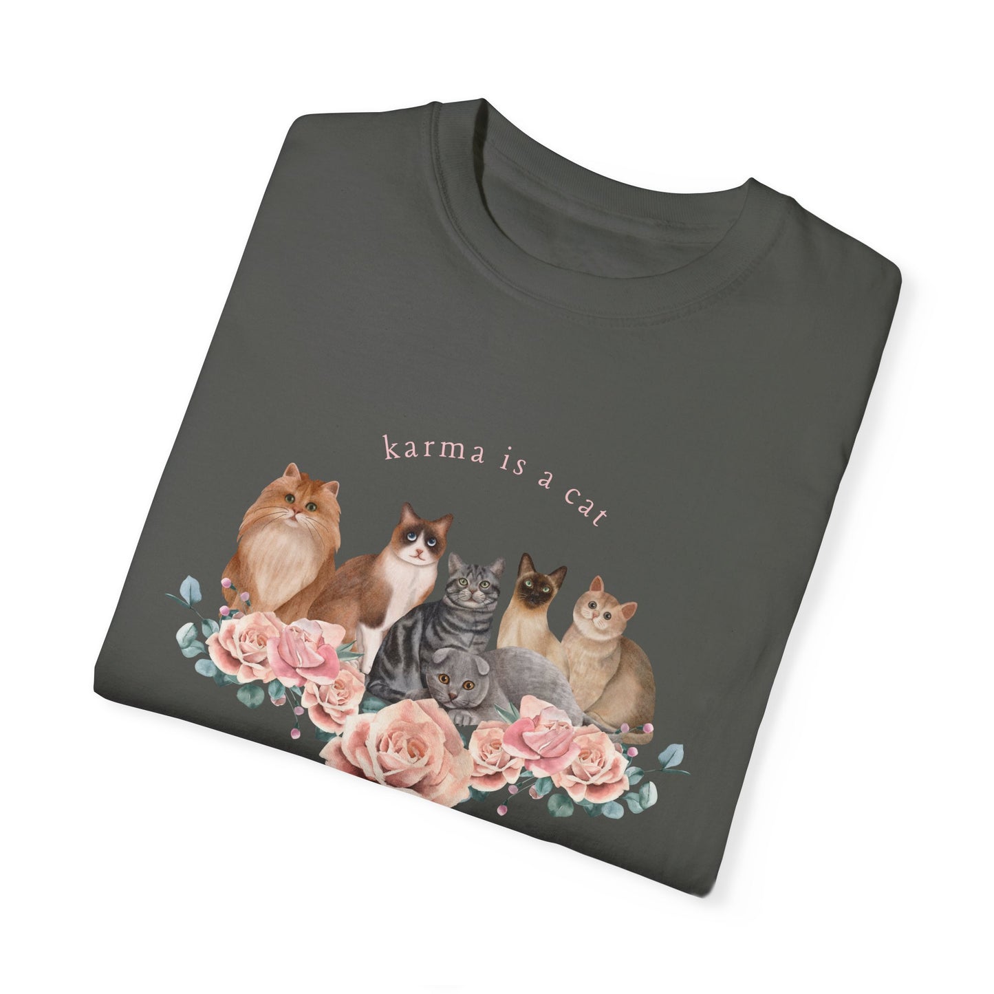 the karma is a cat grannycore comfort colors t-shirt